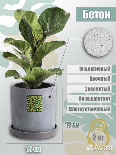 Горшок кашпо. Кашпо для растений. Бетонное кашпо