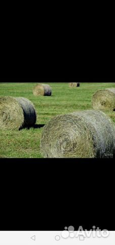 Сено солома в тюках 3 ц 4 ц 2,5 ц