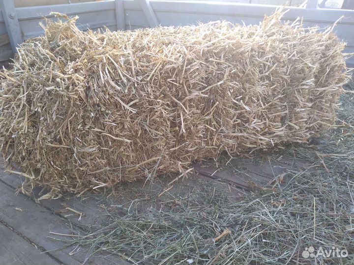 Солома пшеничная в тюках 2023