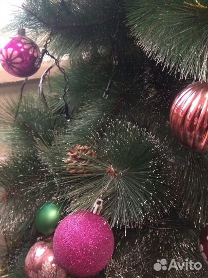 Сосна заснеженная зеленая