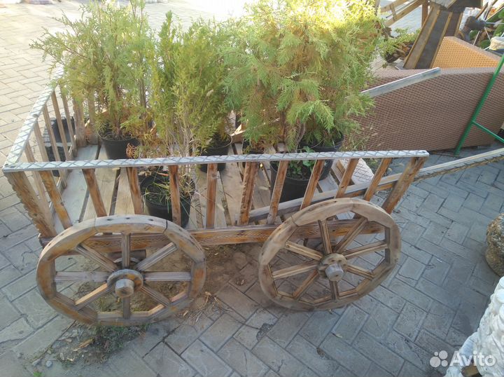 Аренда декоративных изделий