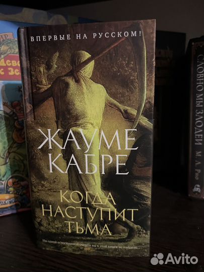 «Когда наступит тьма» Ж. Кабре