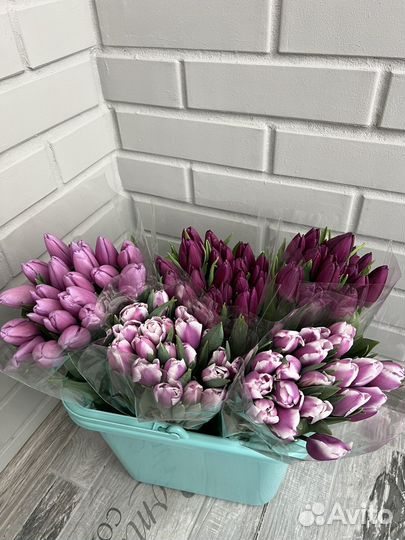 Тюльпаны к 8 марта