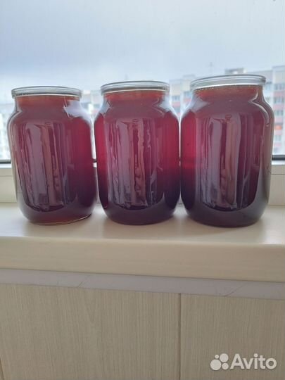 Мед луговое разнотравье. Бесплатная доставка