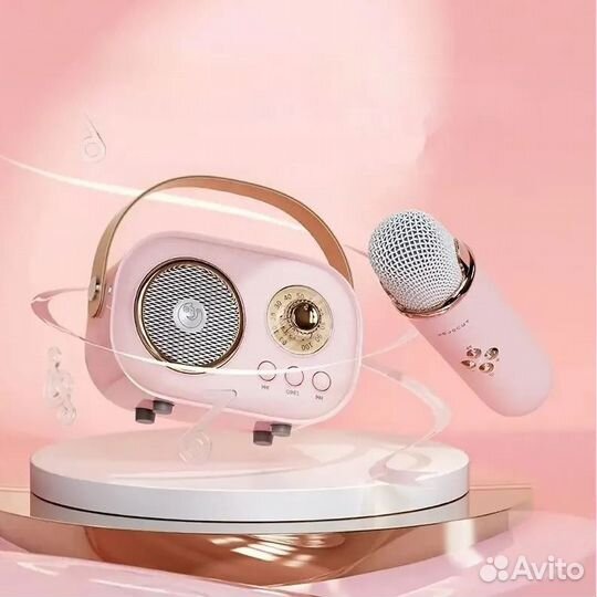 Портативная колонка с микрофоном караоке
