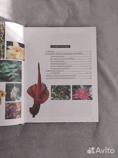 Энциклопедия комнатных растений
