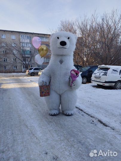 Белый мишка поздравление ростовой медведь аниматор