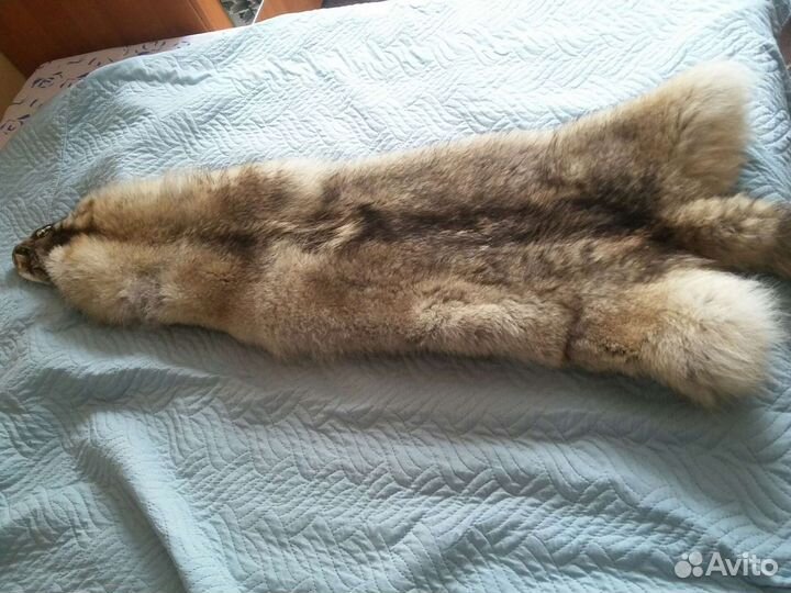 Шкура волка