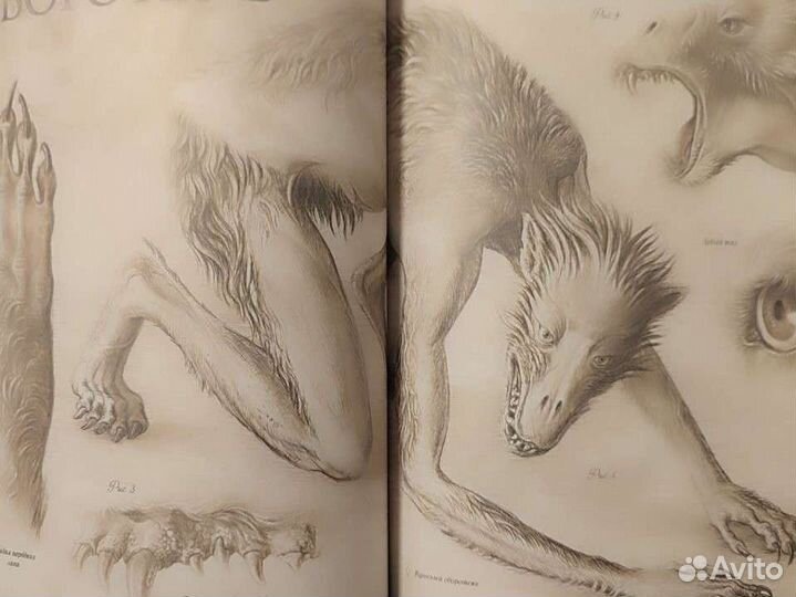 Бронь Гарри Поттер подарочное издание