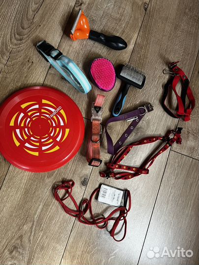 Ошейник для животных