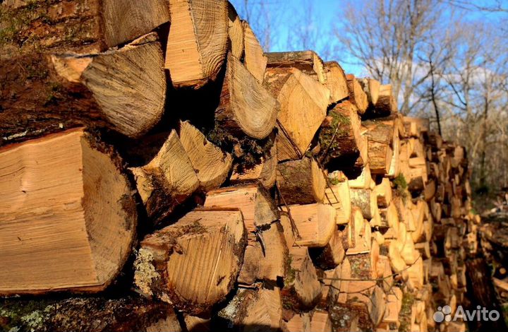 Дрова в СПБ