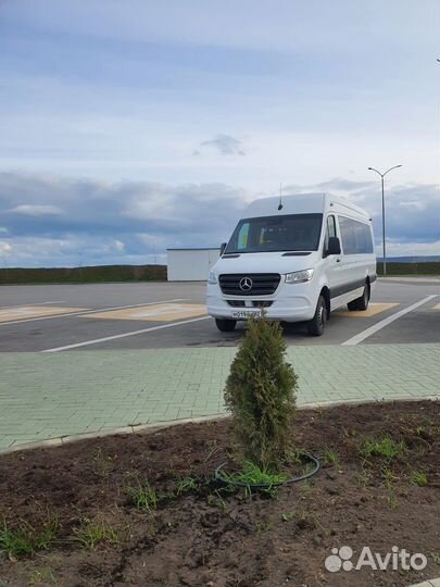 Заказ аренда автобуса и микроавтобусов