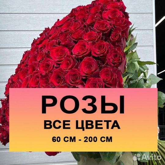 Большие розы высокие розы