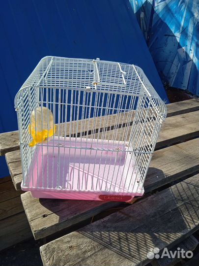 Клетка для грызунов бу