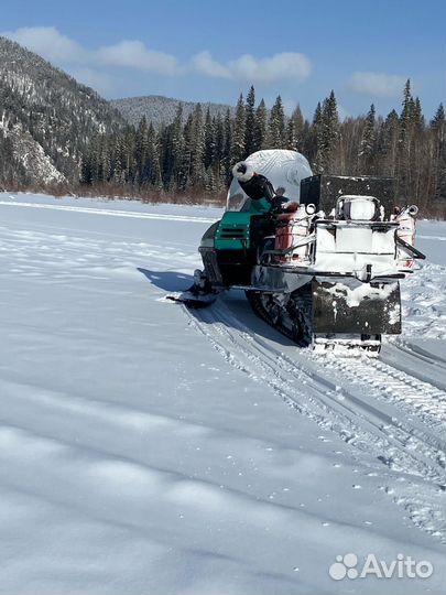 Снегоход рысь