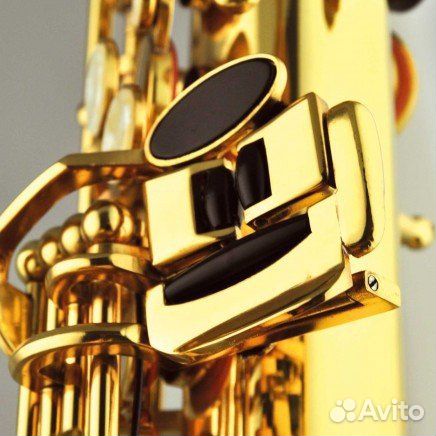 Саксофон Roy Benson AS-202 Eb альт
