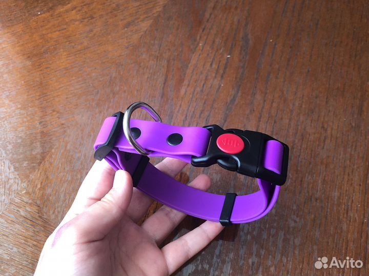 Ошейник для маленькой собаки