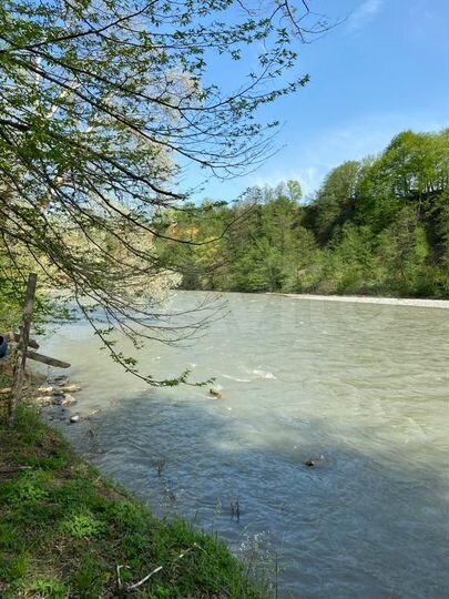 Участок 8 сот. (СНТ, ДНП)