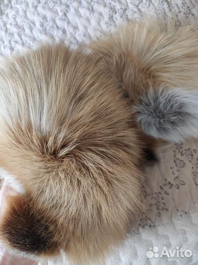 Меховой воротник лиса