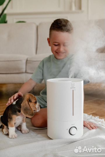 Бигль. Шоу класса. Документы РКФ