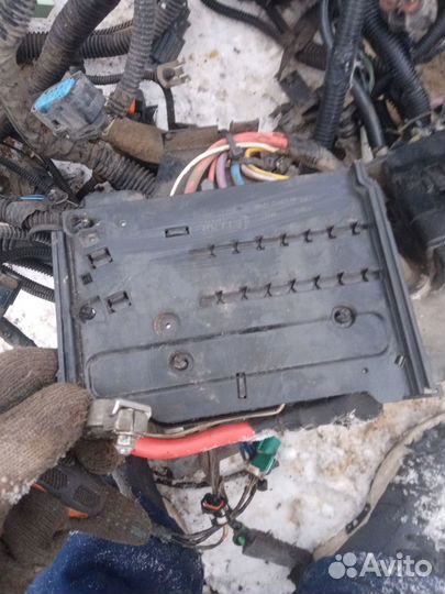 Блок предохранителей Ford Focus 3 1.6 iqdb