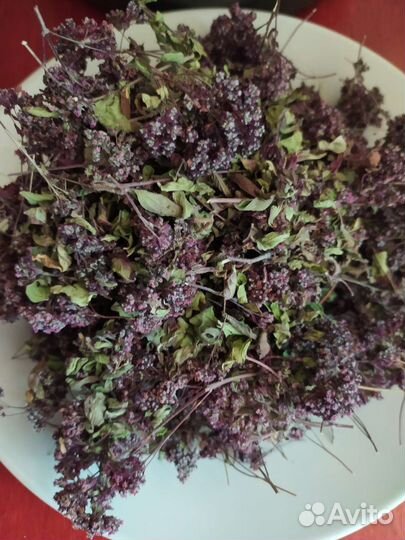 Душица сушеная