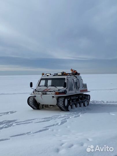Гусеничный Вездеход Пластун 