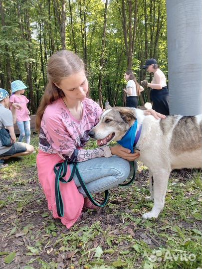 Тельма в поисках дома