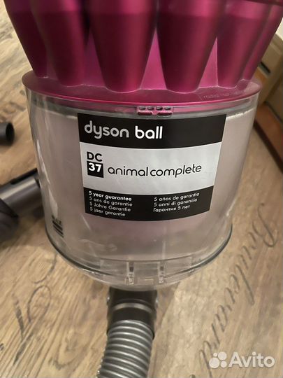 Пылесос dyson ball 37