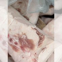 Сало свежее домашнее