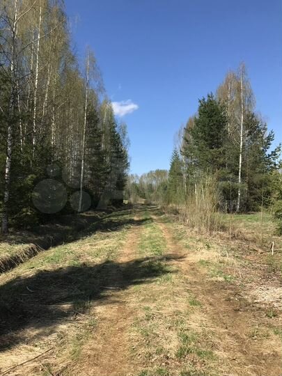 Участок 16,8 сот. (ИЖС)