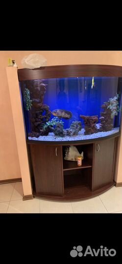 Аквариум 450 литров с тумбой