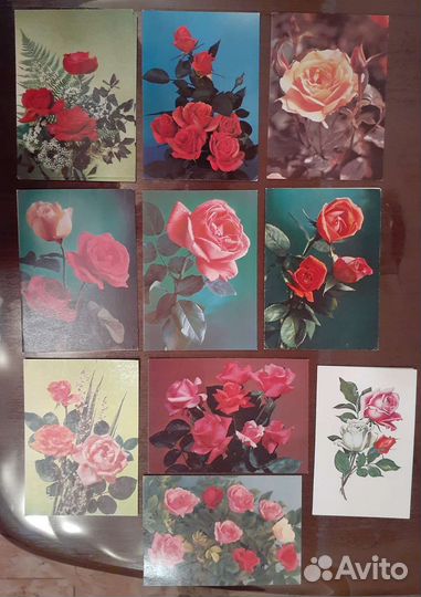 Открытки СССР - розы