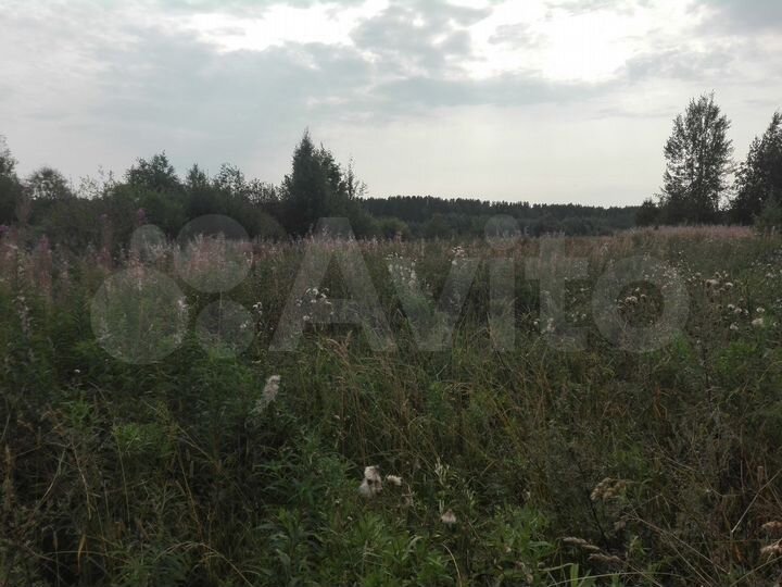 Участок 11 сот. (ИЖС)