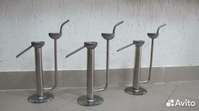 Попугай в ассортименте