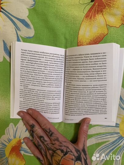 Кто мы такие Гены, наше тело, общество Роберт Сапо