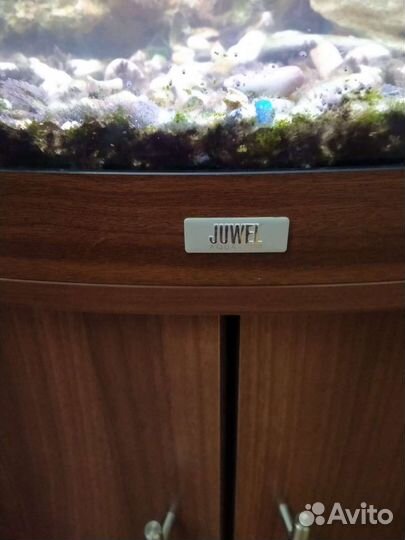 Аквариум угловой с тумбой Juwel
