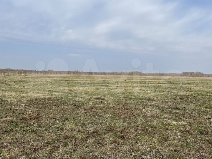 Участок 20,51 га (СНТ, ДНП)