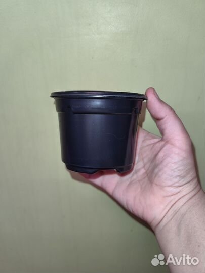 Горшок для рассады (цветов)