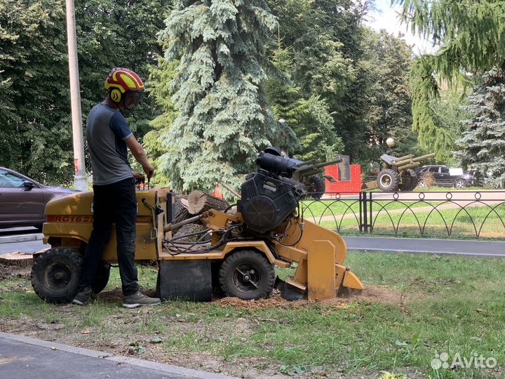 Спилить, удалить деревья, расчистка участка, г.о