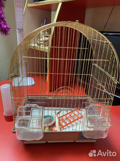 Клетка для животных