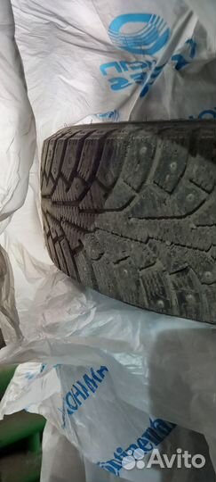 Nordman 5 205/55 R16