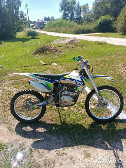 Kayo K1 2021