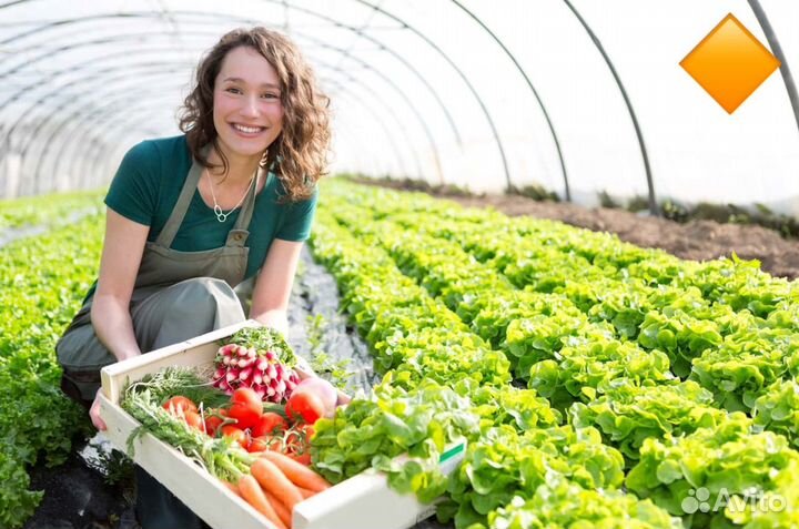 Овощевод вахта с бесплатным жильем