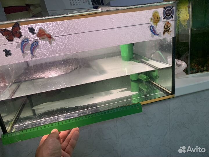 Аквариум для красноухой черепахи