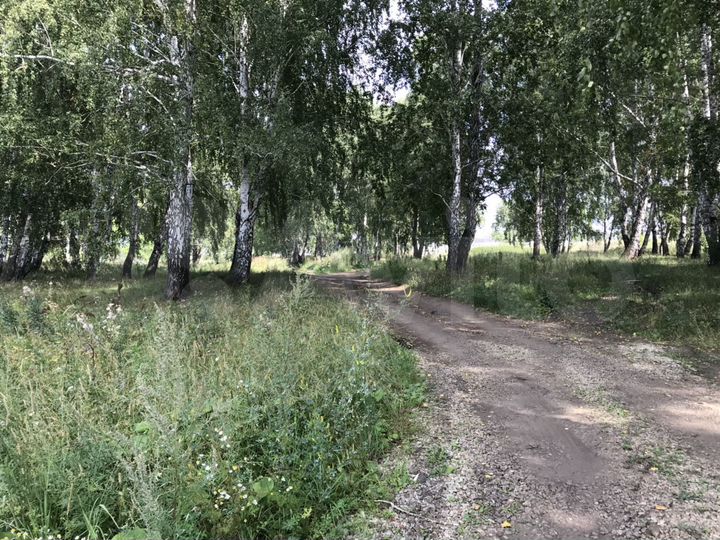 Участок 15 сот. (СНТ, ДНП)