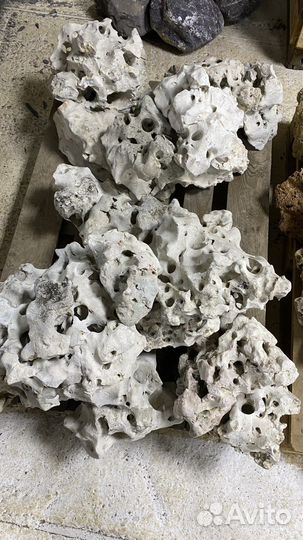 Кенийский (Занзибар ) камень