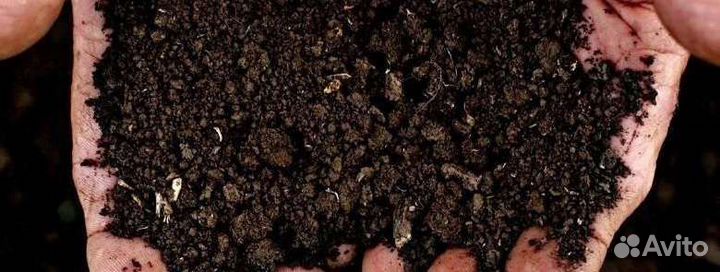 Плодородный грунт, Торф, Чернозём, Земля под газон
