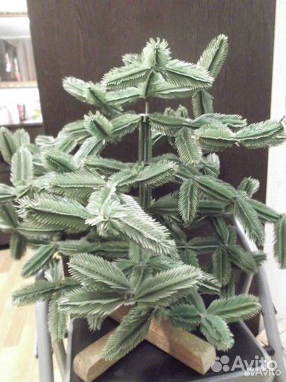 Елочки высота 40см.и 60см