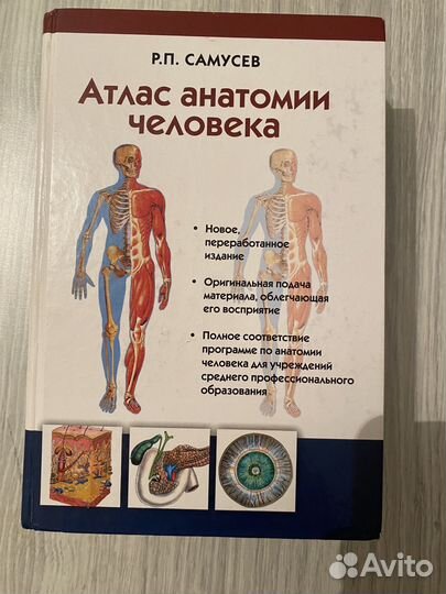 Антас анатомии человека